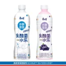 KANG SHI FU Fruit Tea/ Juice/ Tea Series - 康师傅果茶/果汁/茶系列 500ml